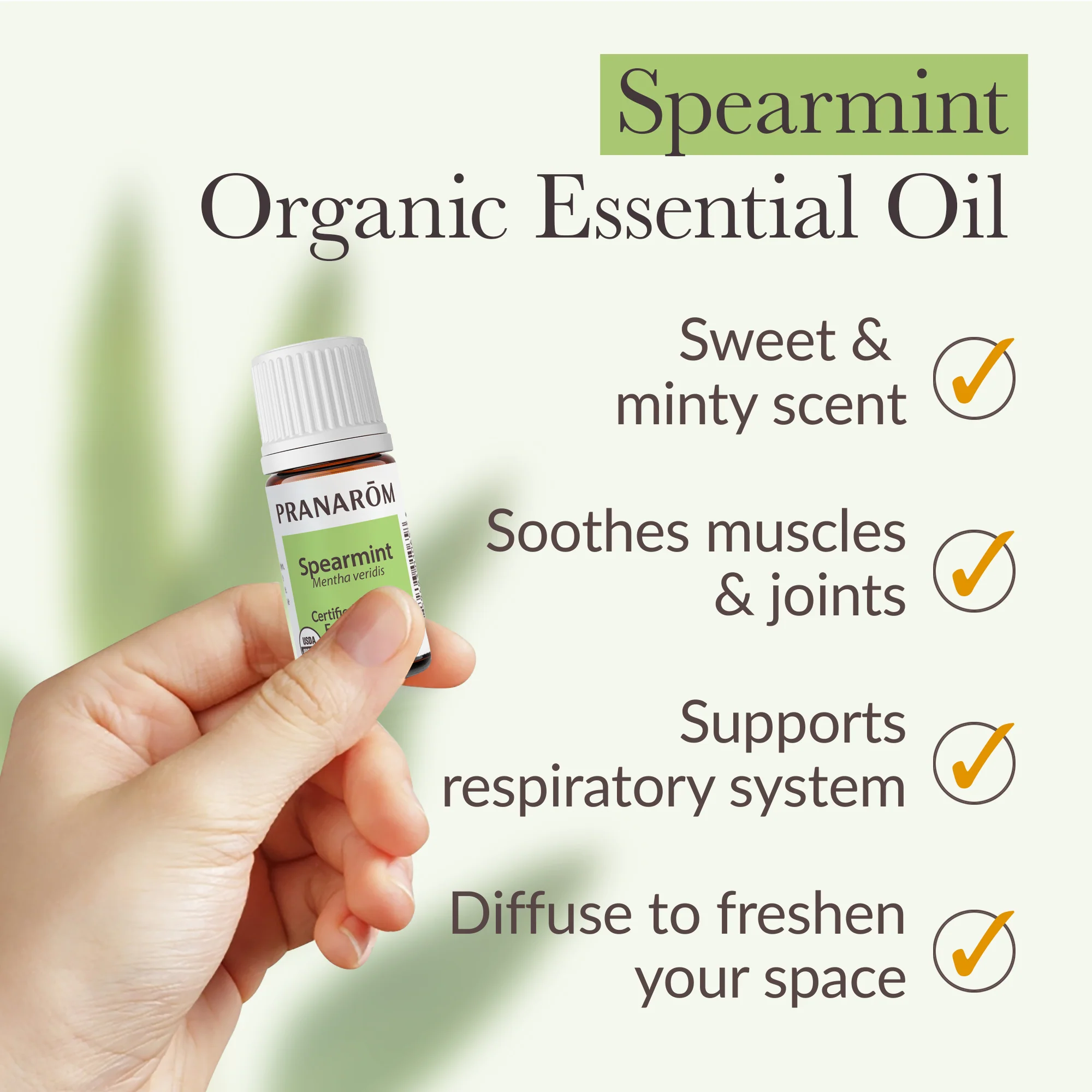 Spearmint Essential Oil - Bio - Image 4