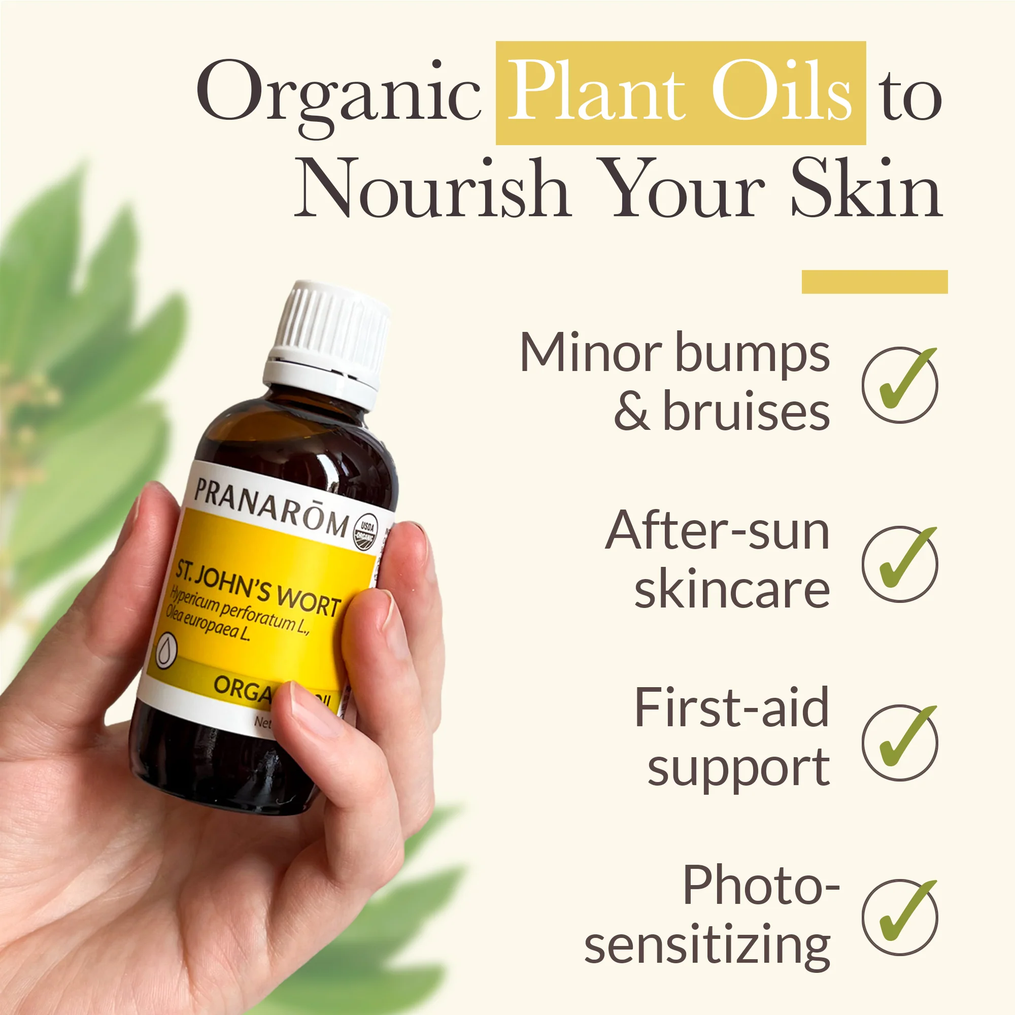St. John's Wort Virgin Plant Oil - Image 3