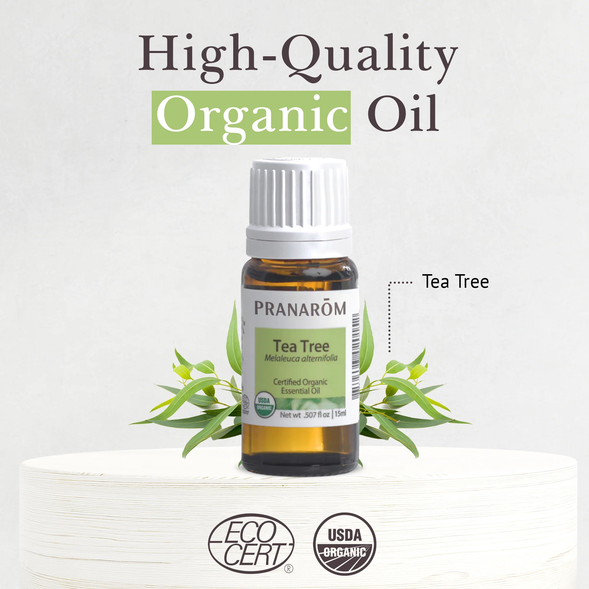 Tea Tree Essential Oil - Bio - Image 3