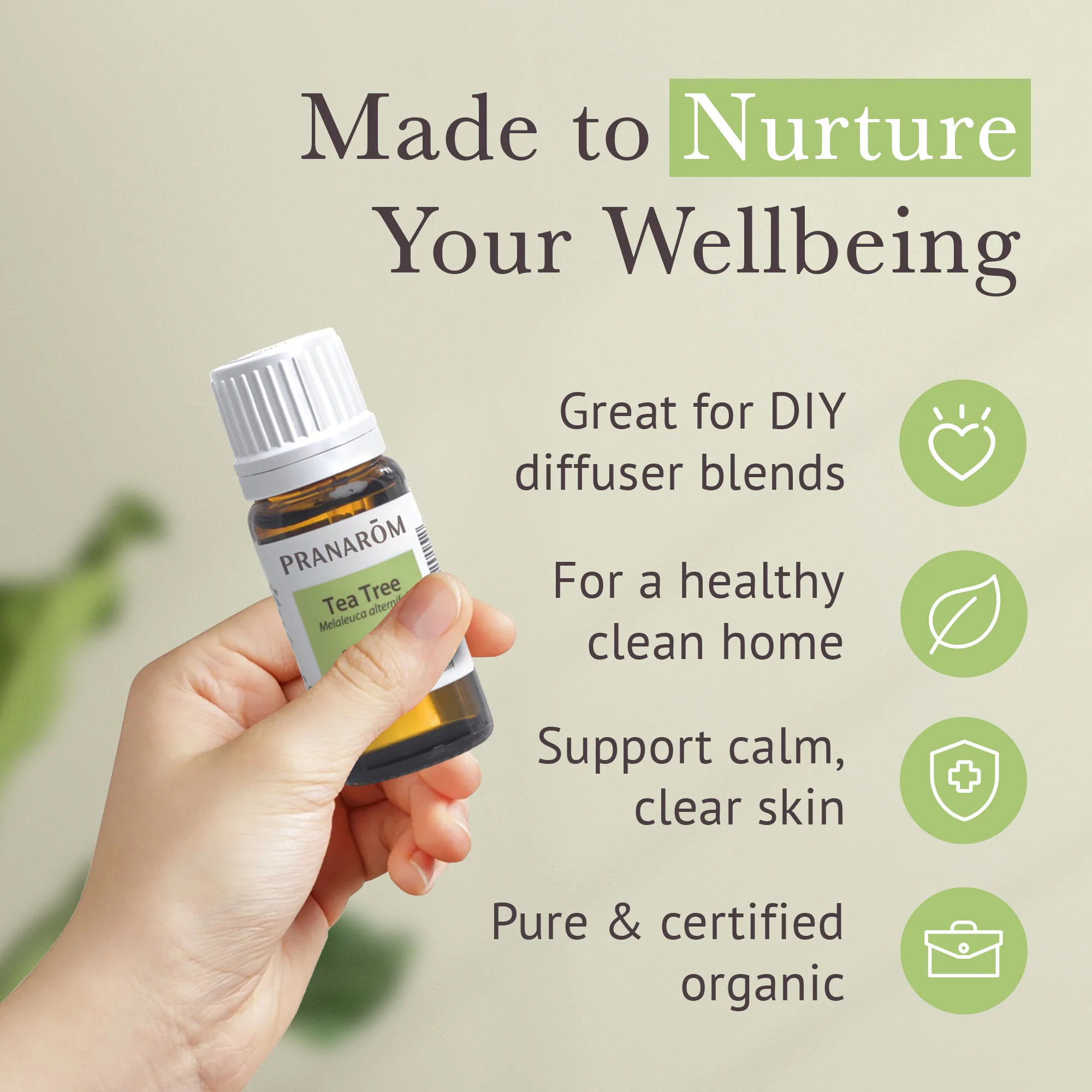 Tea Tree Essential Oil - Bio - Image 4