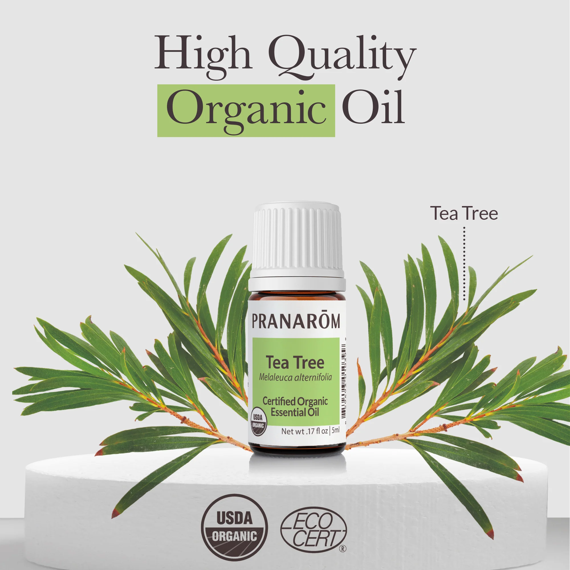 Tea Tree Essential Oil - Bio - Image 3