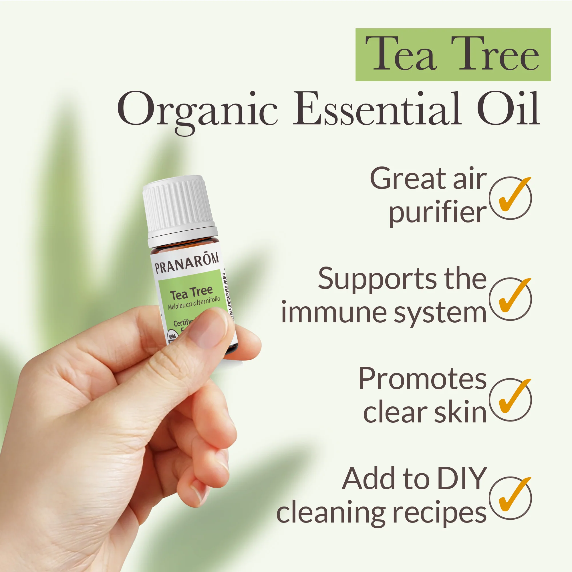 Tea Tree Essential Oil - Bio - Image 4
