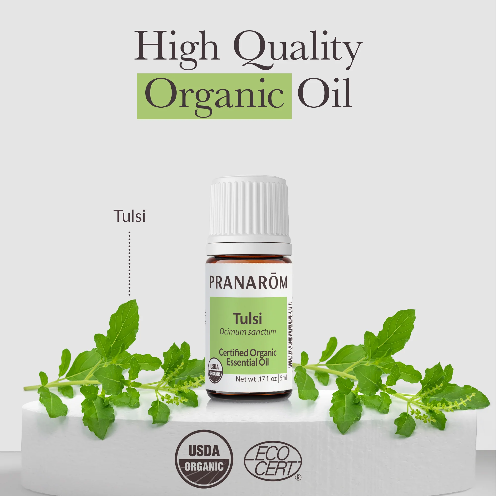 Tulsi Essential Oil - Bio - Image 3