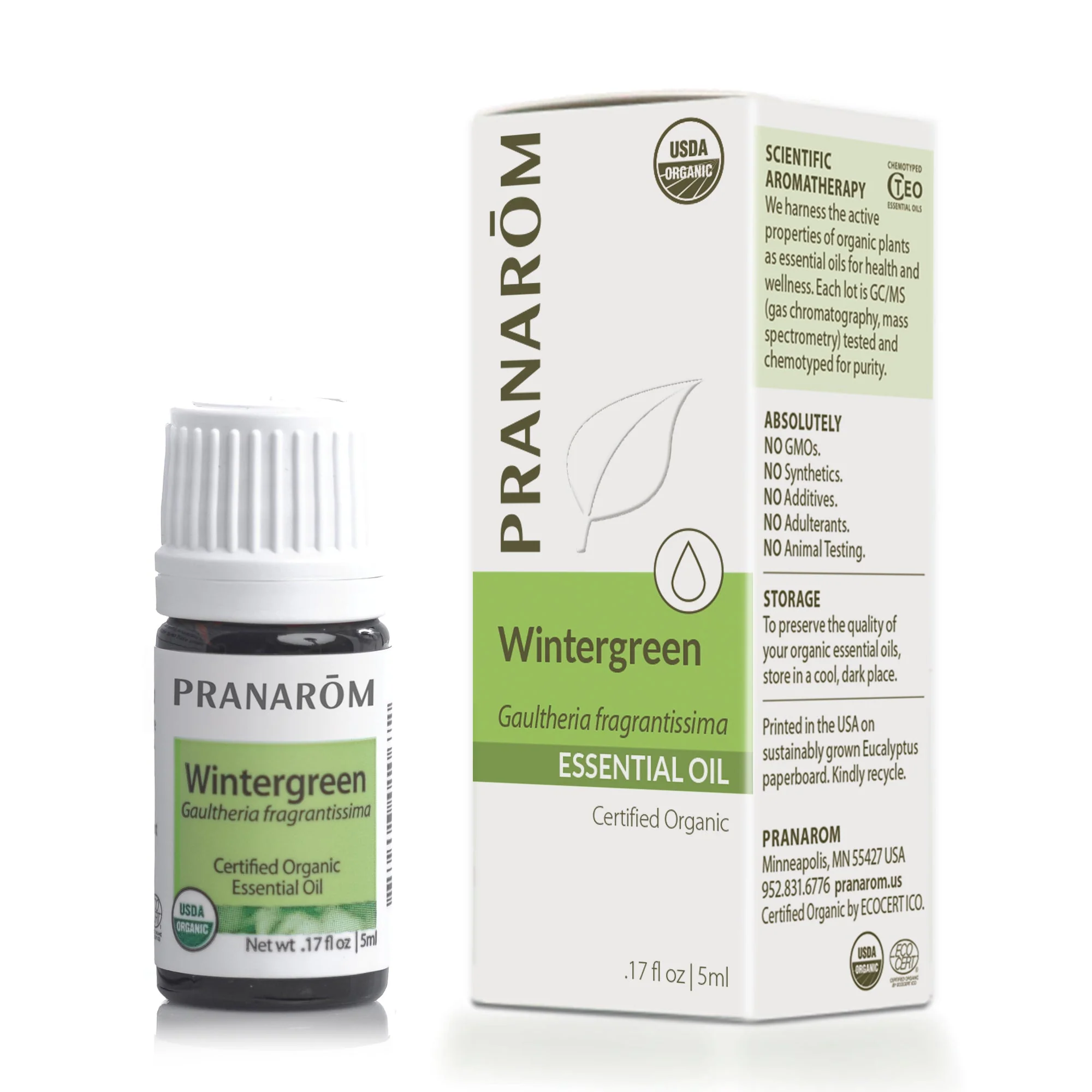 Wintergreen Essential Oil - Bio