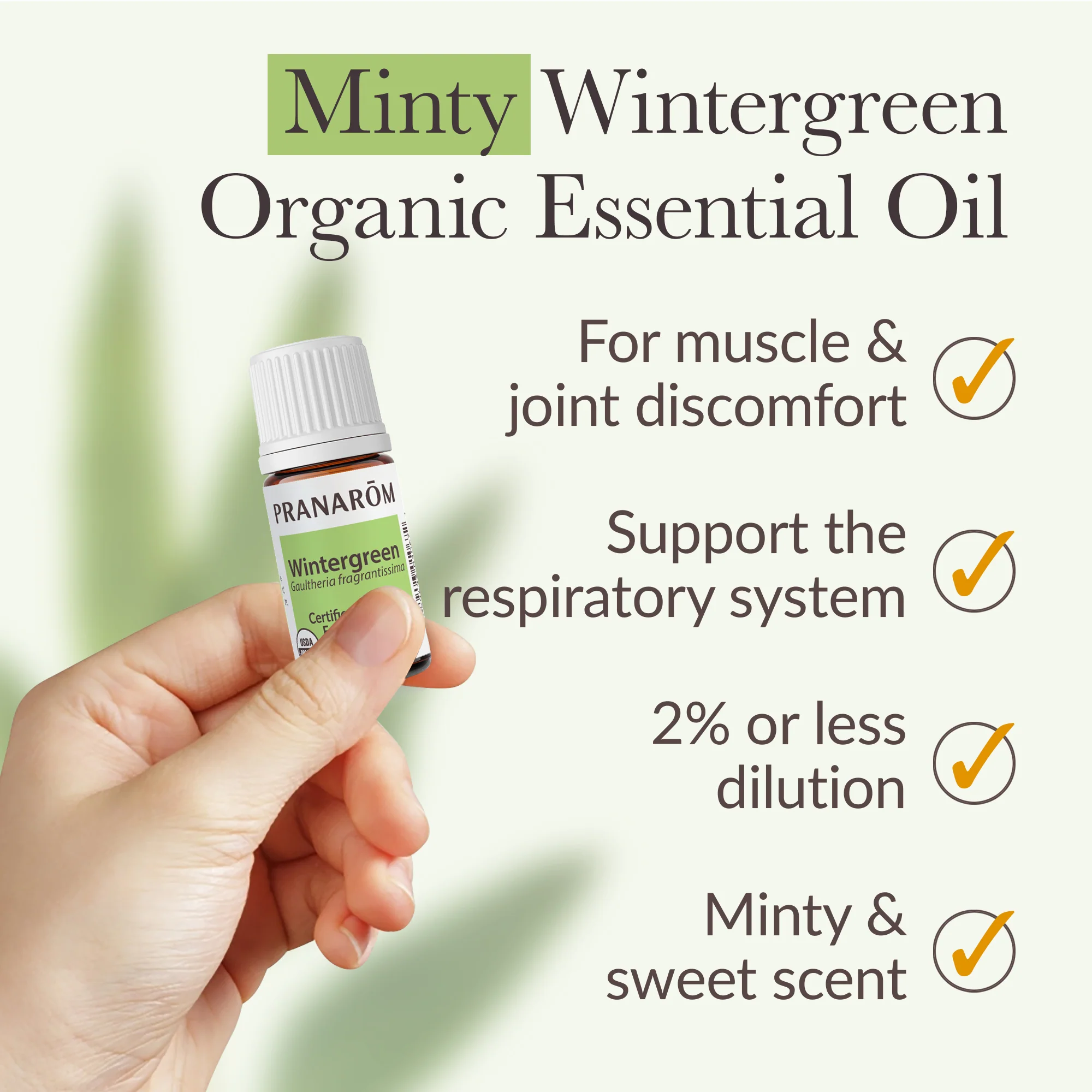 Wintergreen Essential Oil - Bio - Image 4