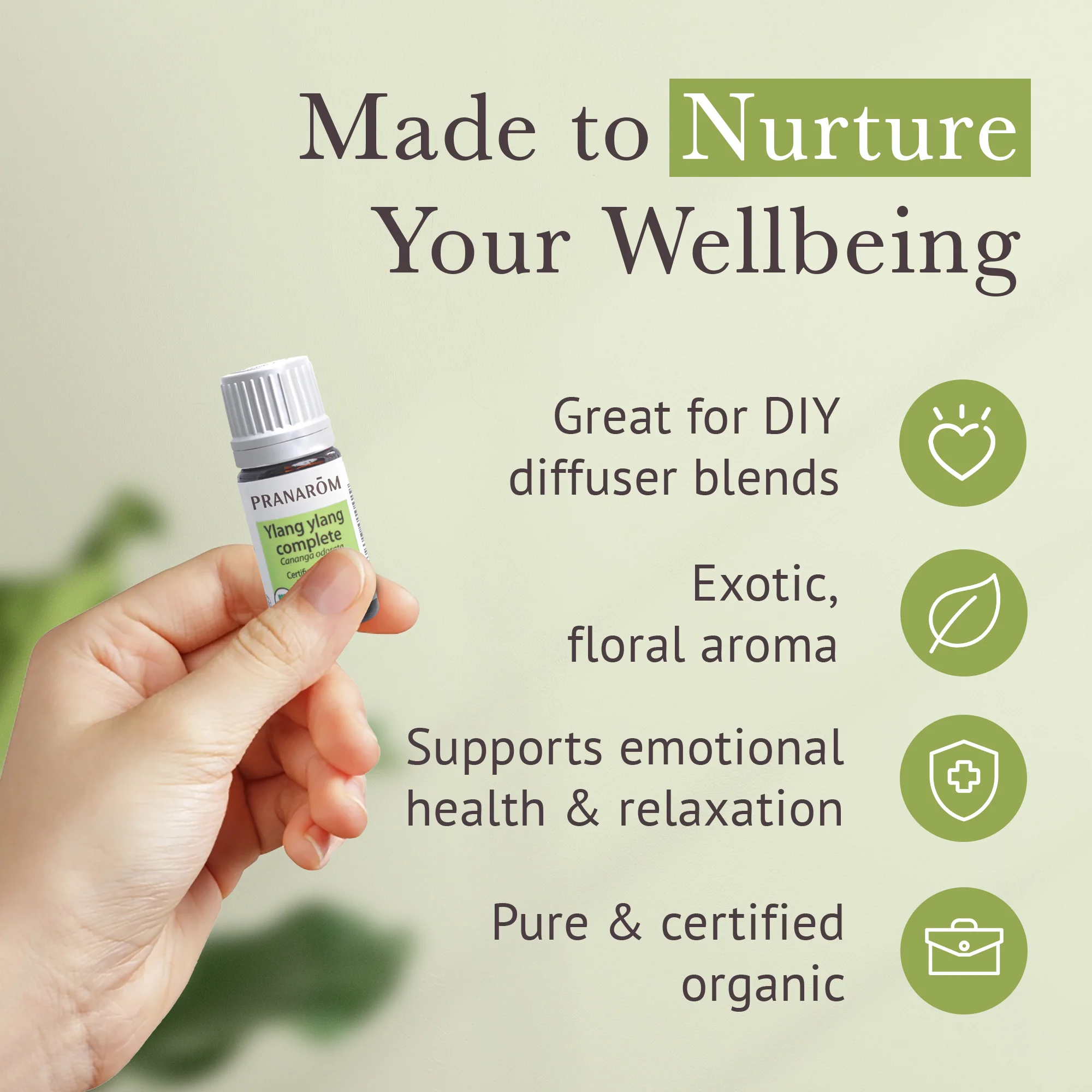 Ylang ylang Complete Essential Oil - Bio - Image 4