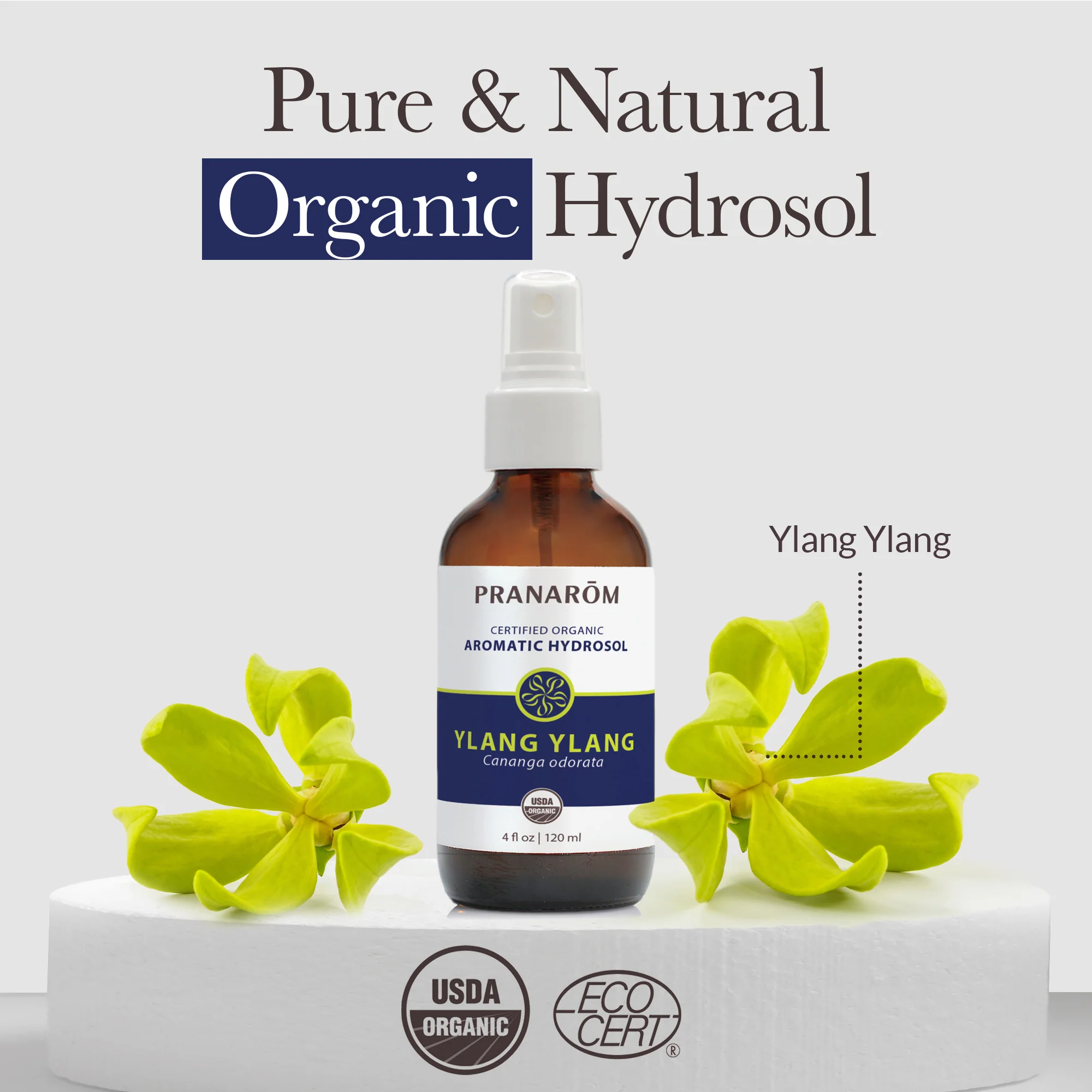 Ylang ylang Hydrosol - Bio - Image 3