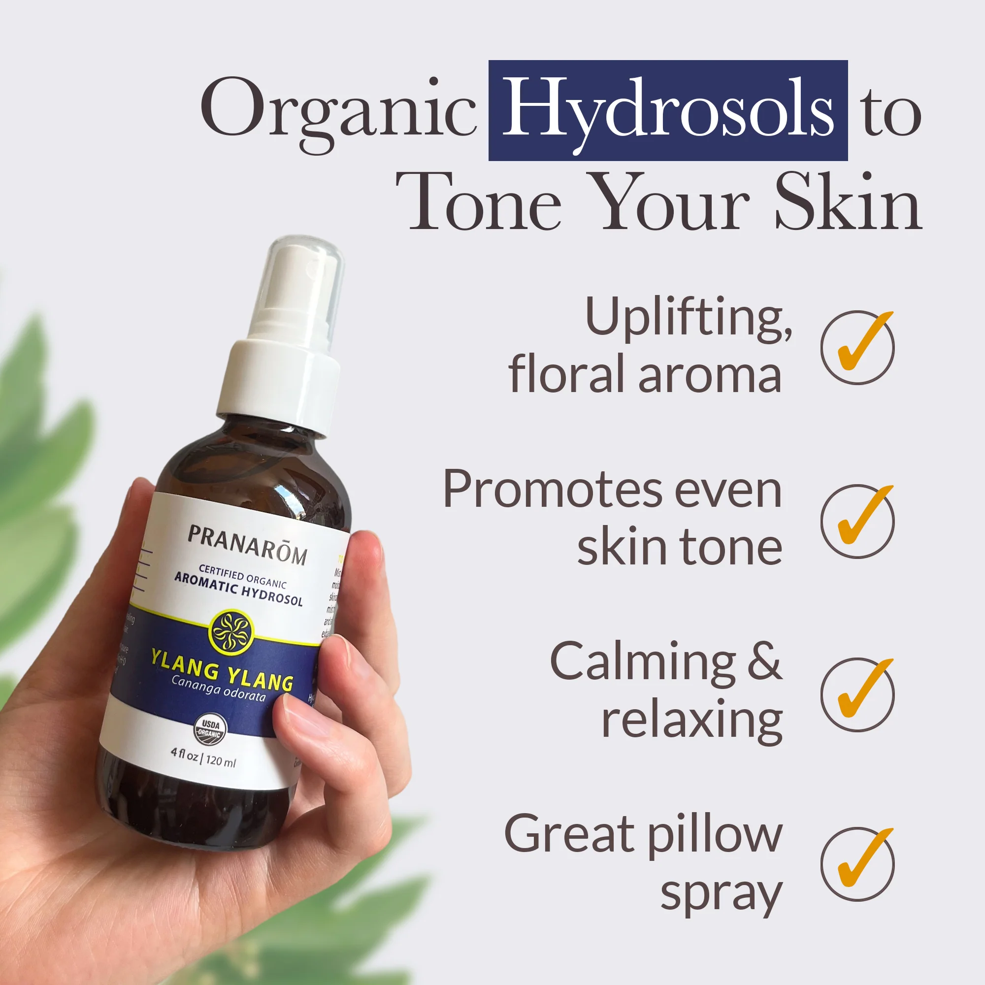 Ylang ylang Hydrosol - Bio - Image 4